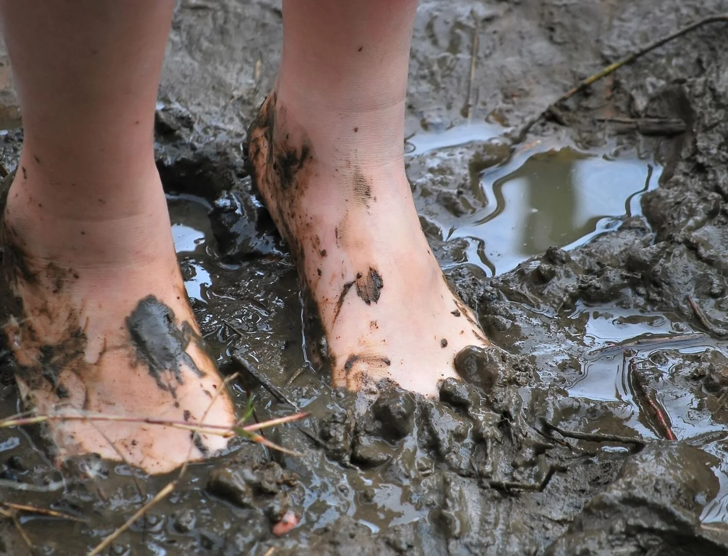 Hiking During Mud Season WildKind